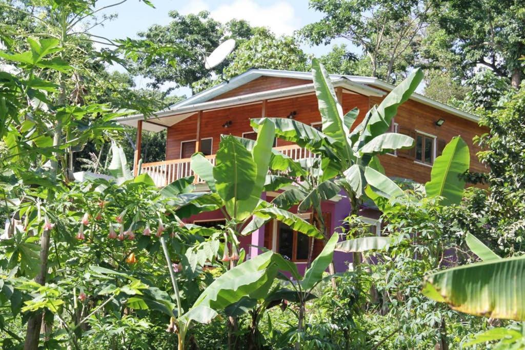 فيلا Bema Farm Sao Jose المظهر الخارجي الصورة